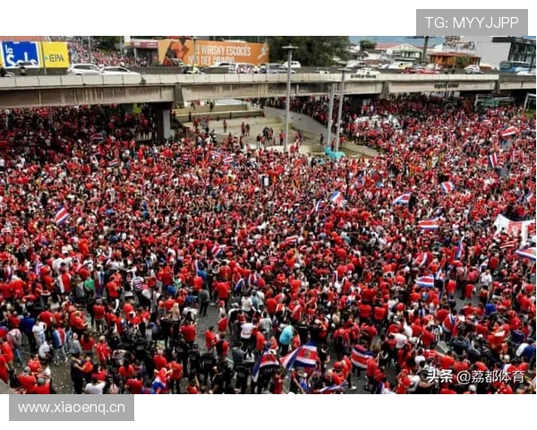 全方位世界杯赛事资讯平台助您实时掌握全球足球动态与精彩战况 - 副本 (3)